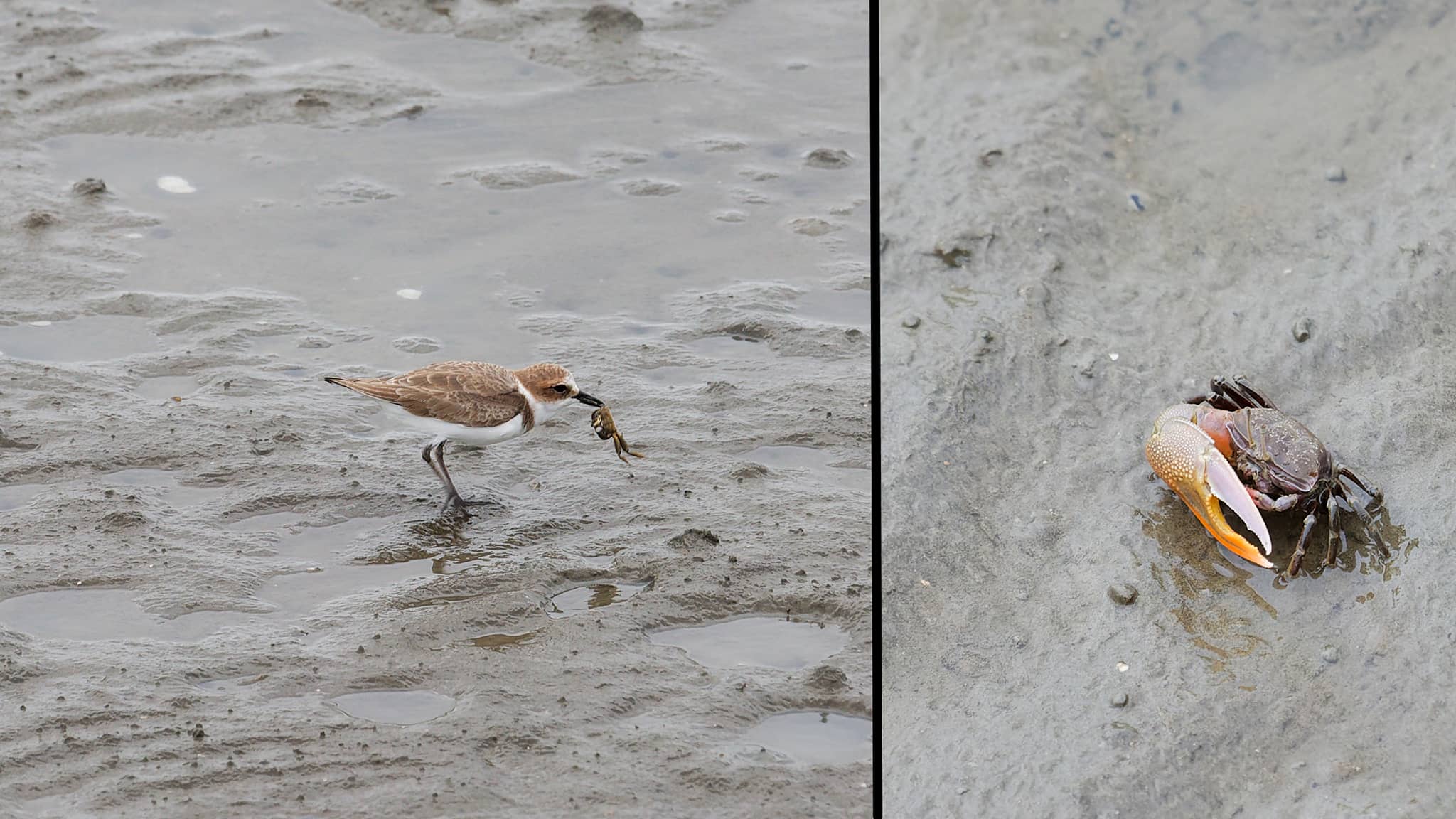 02 - Taichung Est (7) Xiangshan District.jpg